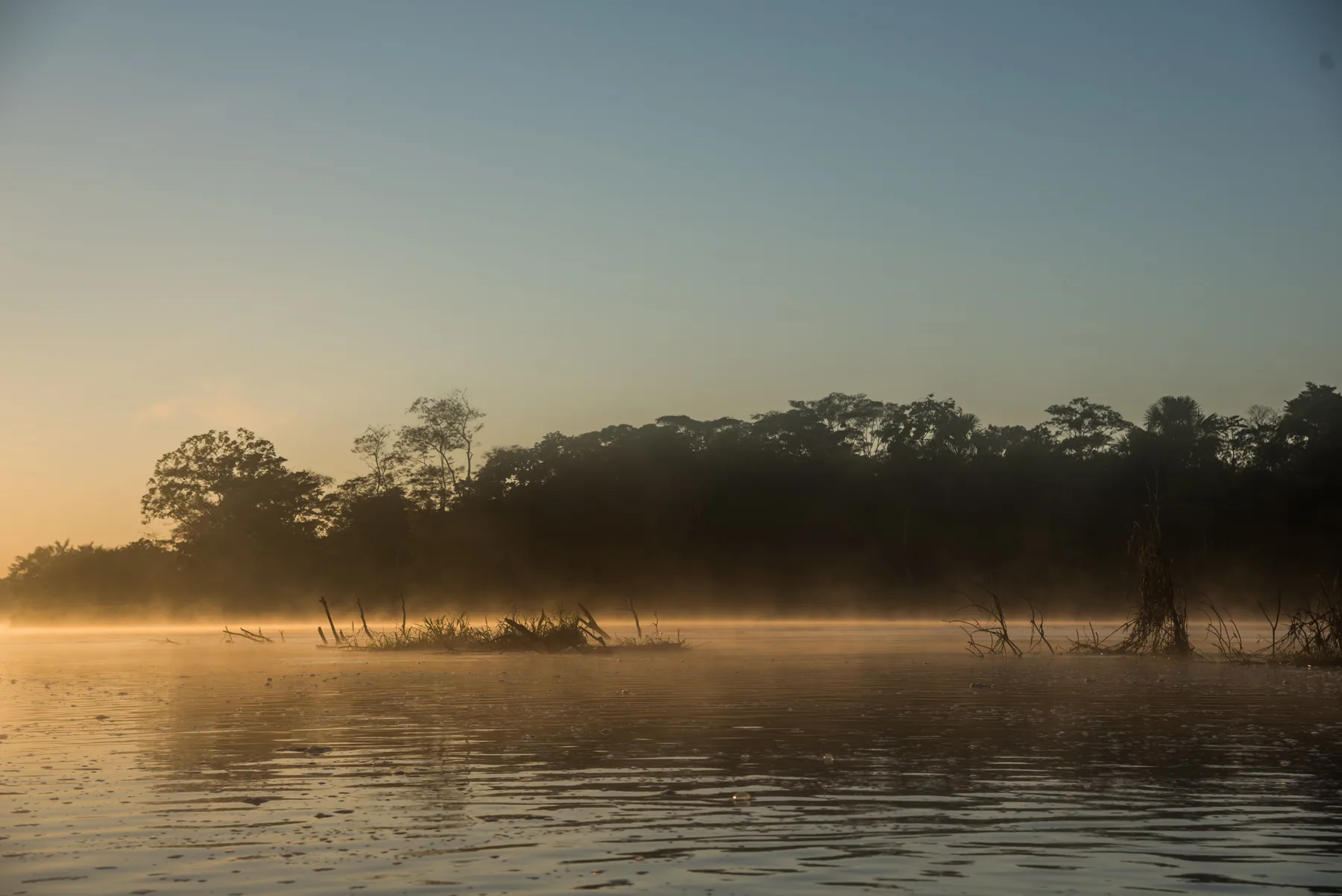A broad forested river landscape in the Peruvian Amazon at sunrise.